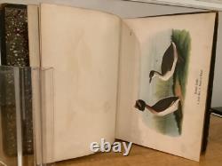 1866 Women Of The Civil War Their Heroism and Self-Sacrifice Harrisburg Ad