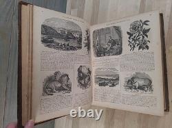 1874 HOLY BIBLE antique POST CIVIL WAR family BIBLE illustrated DICTIONARY study