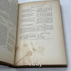 1896 LITTLE WOMEN Victorian CHRISTMAS Civil War ALCOTT Antique 200 ILLUSTRATIONS