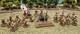 28mm Painted Figures English Civil War Pikemen's Lament Company -talbot's