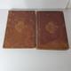 Antique 1894 Harper's Pictorial History Of The Civil War 2 Volume Part Set