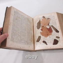 Worcester's Dictionary Antique Pre Civil War 1860 Electroprinted Lexicography