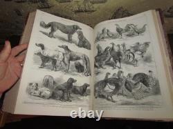 1862 Nouvelles Illustrées de Londres Vol 41 Exposition USA Guerre Civile Famine de Coton Lancs