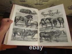 1862 Nouvelles Illustrées de Londres Vol 41 Exposition USA Guerre Civile Famine de Coton Lancs