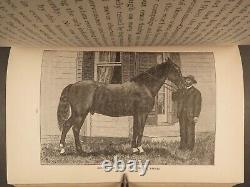 Guerre civile de 1888 1ère édition Mémoires du général Sheridan Armée de l'Union Amérindiens RARE