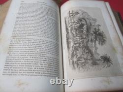Rare 1861 L'Histoire de l'esclavage et du commerce des esclaves Illustré de la Guerre Civile