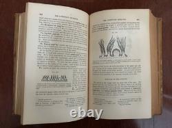 UN TRAITÉ ÉLÉMENTAIRE SUR L'ANATOMIE HUMAINE par LEIDY 1861 1ère ÉDITION ANTIQUE DE LA GUERRE CIVILE